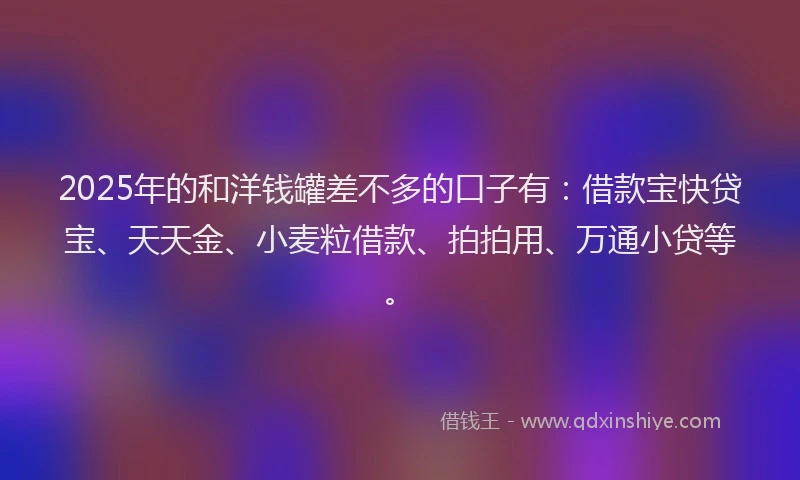 2025年的和洋钱罐差不多的口子有：借款宝快贷宝、天天金、小麦粒借款、拍拍用、万通小贷等。