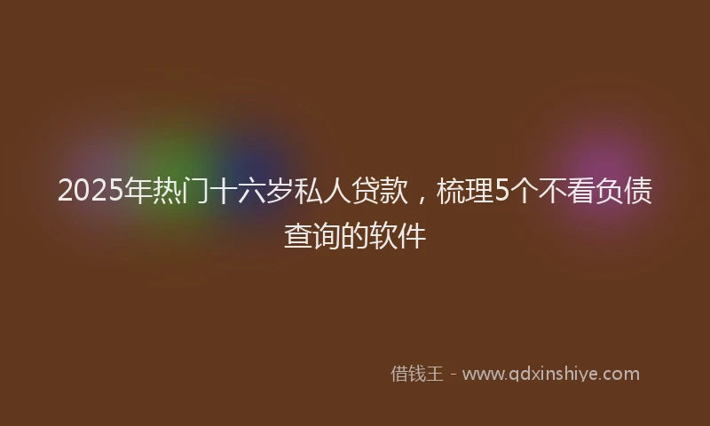 2025年热门十六岁私人贷款，梳理5个不看负债查询的软件