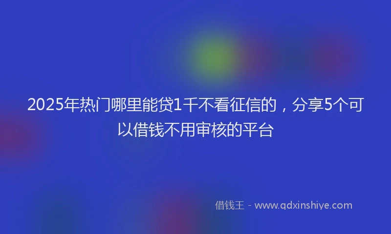 2025年热门哪里能贷1千不看征信的，分享5个可以借钱不用审核的平台