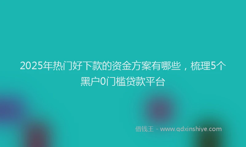 2025年热门好下款的资金方案有哪些，梳理5个黑户0门槛贷款平台