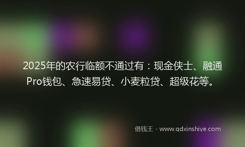 2025年的农行临额不通过有：现金侠士、融通Pro钱包、急速易贷、小麦粒贷、超级花等。