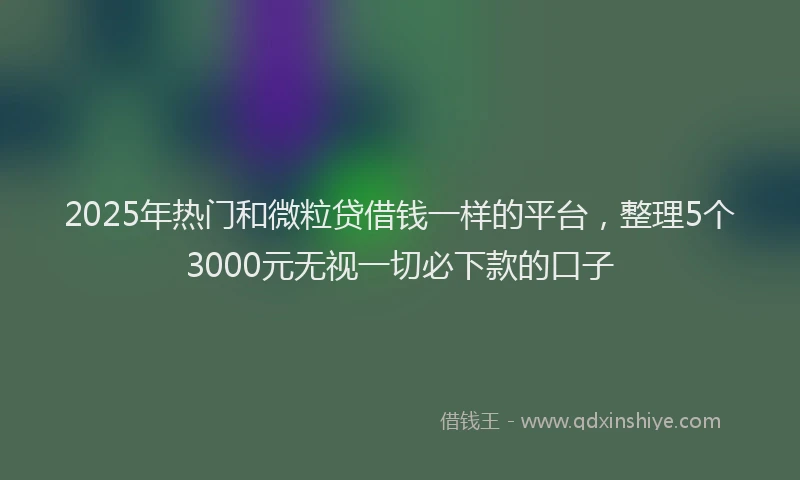 2025年热门和微粒贷借钱一样的平台，整理5个3000元无视一切必下款的口子