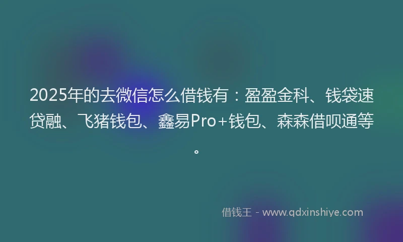 2025年的去微信怎么借钱有：盈盈金科、钱袋速贷融、飞猪钱包、鑫易Pro+钱包、森森借呗通等。