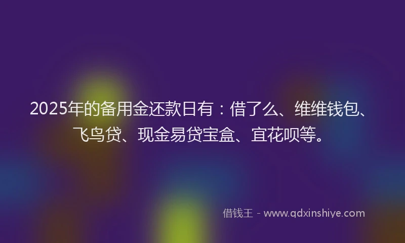 2025年的备用金还款日有：借了么、维维钱包、飞鸟贷、现金易贷宝盒、宜花呗等。