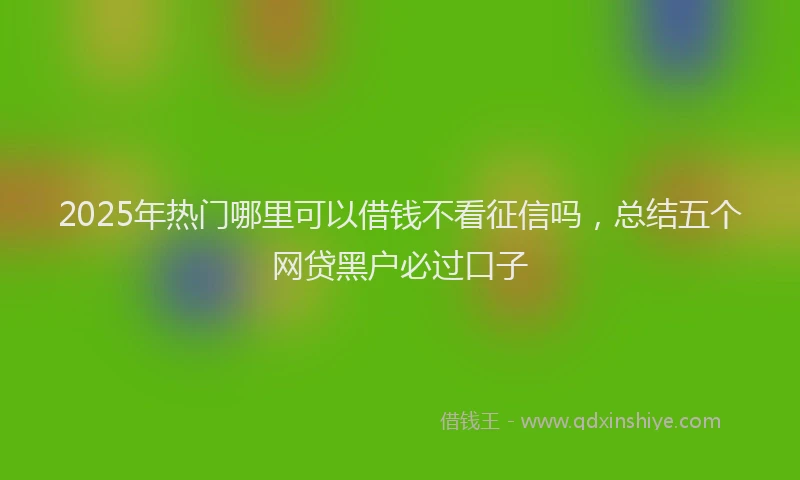 2025年热门哪里可以借钱不看征信吗，总结五个网贷黑户必过口子