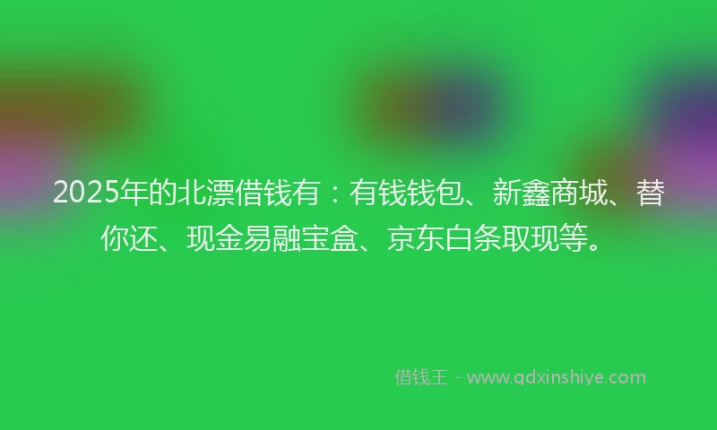 2025年的北漂借钱有：有钱钱包、新鑫商城、替你还、现金易融宝盒、京东白条取现等。