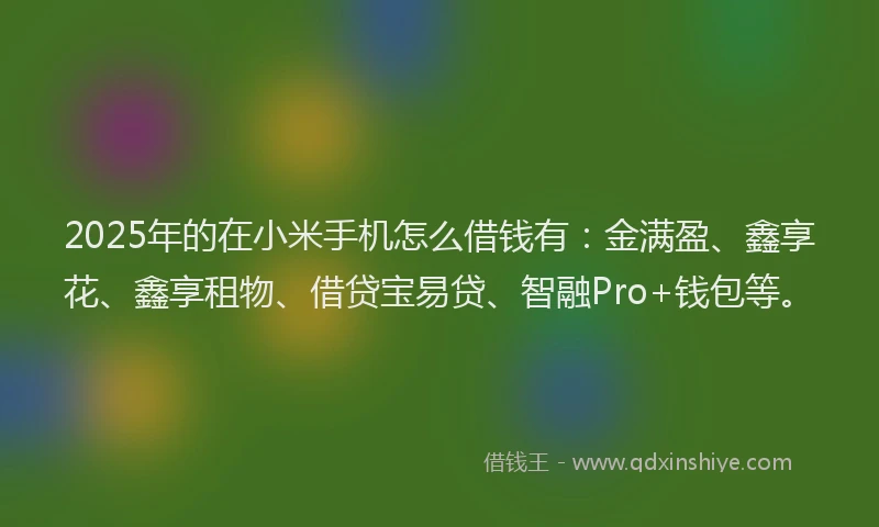 2025年的在小米手机怎么借钱有：金满盈、鑫享花、鑫享租物、借贷宝易贷、智融Pro+钱包等。