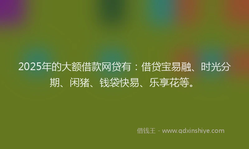 2025年的大额借款网贷有：借贷宝易融、时光分期、闲猪、钱袋快易、乐享花等。
