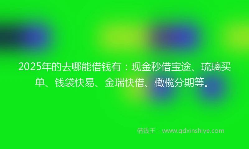 2025年的去哪能借钱有：现金秒借宝途、琉璃买单、钱袋快易、金瑞快借、橄榄分期等。