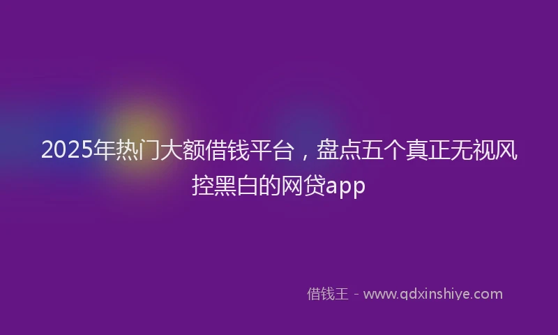 2025年热门大额借钱平台，盘点五个真正无视风控黑白的网贷app
