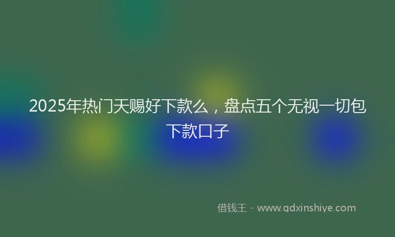 2025年热门天赐好下款么，盘点五个无视一切包下款口子