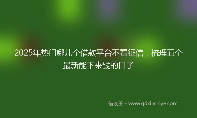 2025年热门哪儿个借款平台不看征信，梳理五个最新能下来钱的口子