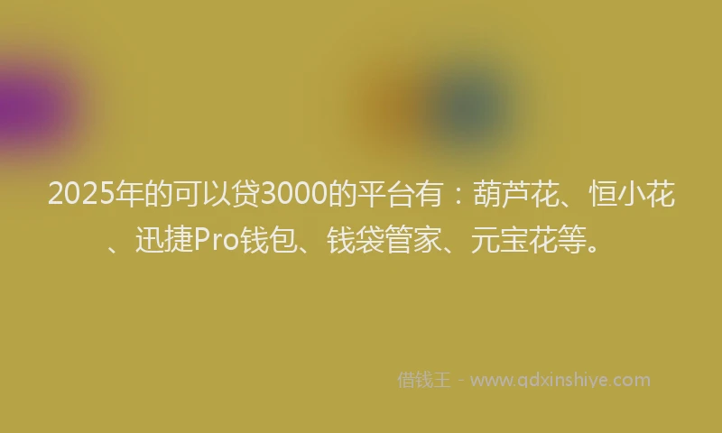 2025年的可以贷3000的平台有：葫芦花、恒小花、迅捷Pro钱包、钱袋管家、元宝花等。