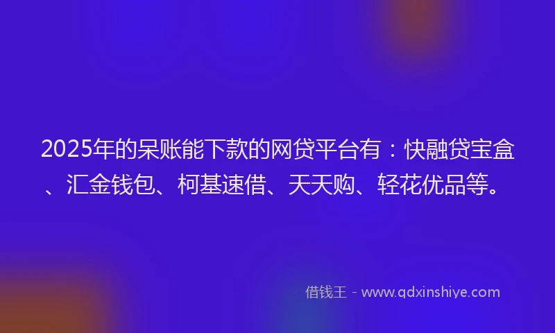 2025年的呆账能下款的网贷平台有：快融贷宝盒、汇金钱包、柯基速借、天天购、轻花优品等。