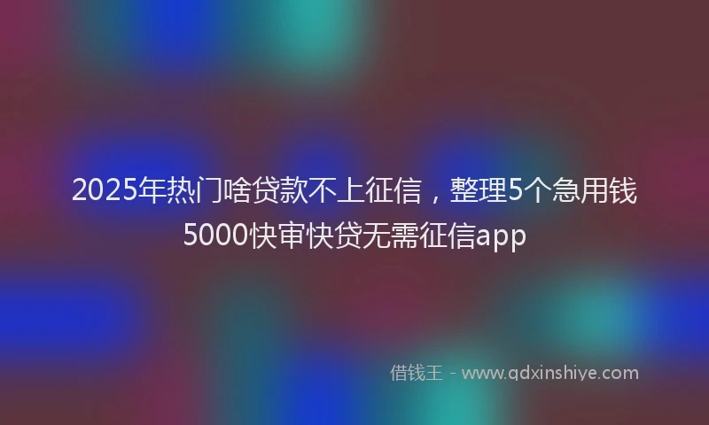 2025年热门啥贷款不上征信，整理5个急用钱5000快审快贷无需征信app
