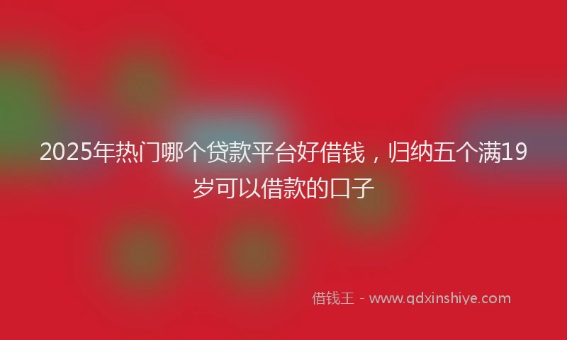2025年热门哪个贷款平台好借钱，归纳五个满19岁可以借款的口子