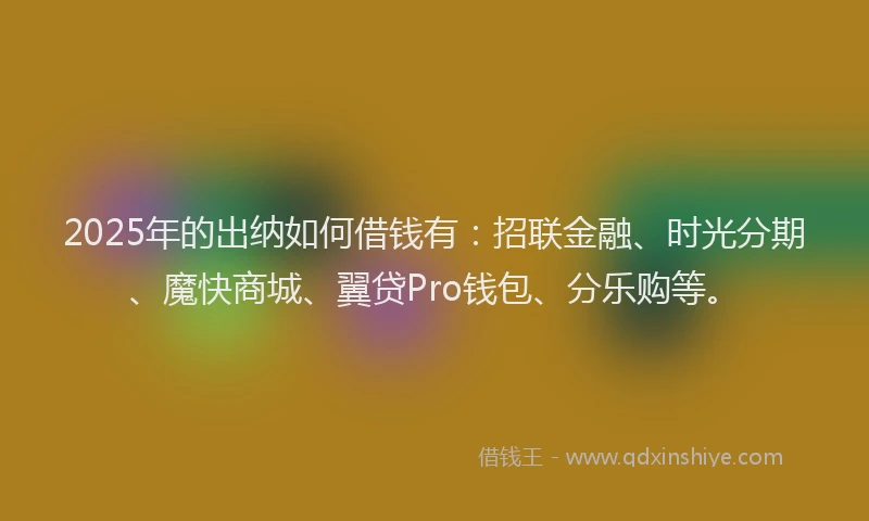 2025年的出纳如何借钱有：招联金融、时光分期、魔快商城、翼贷Pro钱包、分乐购等。