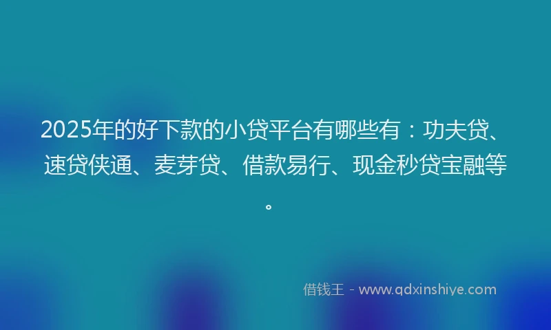 2025年的好下款的小贷平台有哪些有：功夫贷、速贷侠通、麦芽贷、借款易行、现金秒贷宝融等。