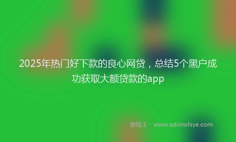 2025年热门好下款的良心网贷，总结5个黑户成功获取大额贷款的app