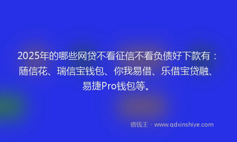 2025年的哪些网贷不看征信不看负债好下款有：随信花、瑞信宝钱包、你我易借、乐借宝贷融、易捷Pro钱包等。
