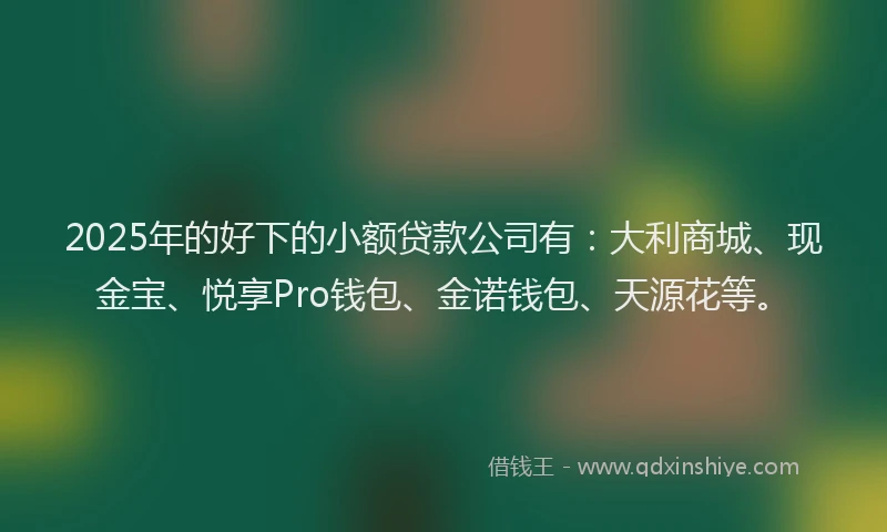 2025年的好下的小额贷款公司有：大利商城、现金宝、悦享Pro钱包、金诺钱包、天源花等。