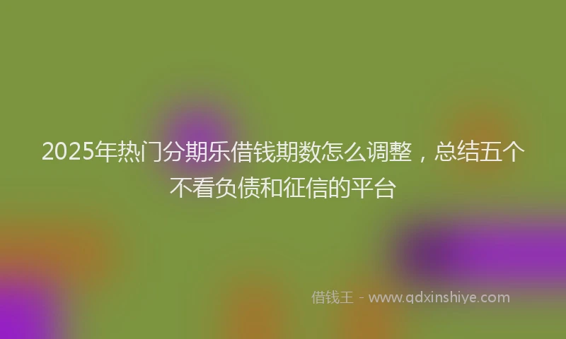 2025年热门分期乐借钱期数怎么调整，总结五个不看负债和征信的平台