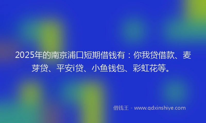 2025年的南京浦口短期借钱有：你我贷借款、麦芽贷、平安i贷、小鱼钱包、彩虹花等。