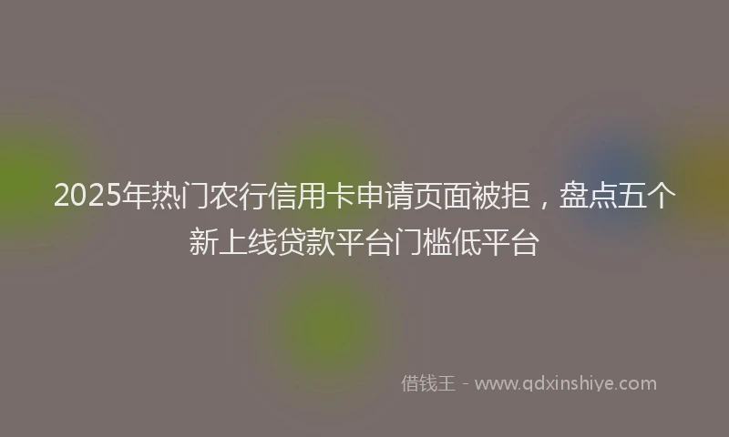 2025年热门农行信用卡申请页面被拒，盘点五个新上线贷款平台门槛低平台