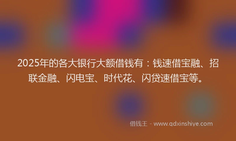 2025年的各大银行大额借钱有：钱速借宝融、招联金融、闪电宝、时代花、闪贷速借宝等。