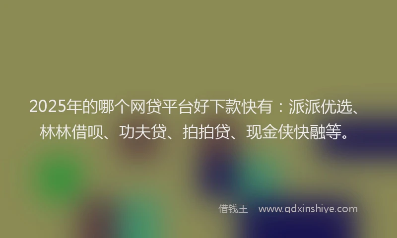 2025年的哪个网贷平台好下款快有：派派优选、林林借呗、功夫贷、拍拍贷、现金侠快融等。