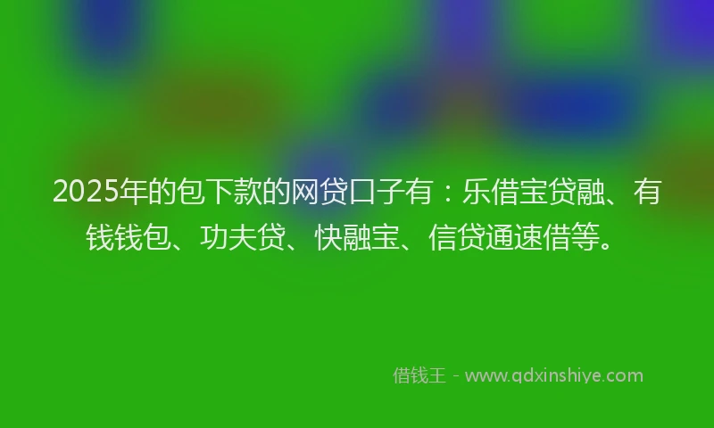 2025年的包下款的网贷口子有：乐借宝贷融、有钱钱包、功夫贷、快融宝、信贷通速借等。