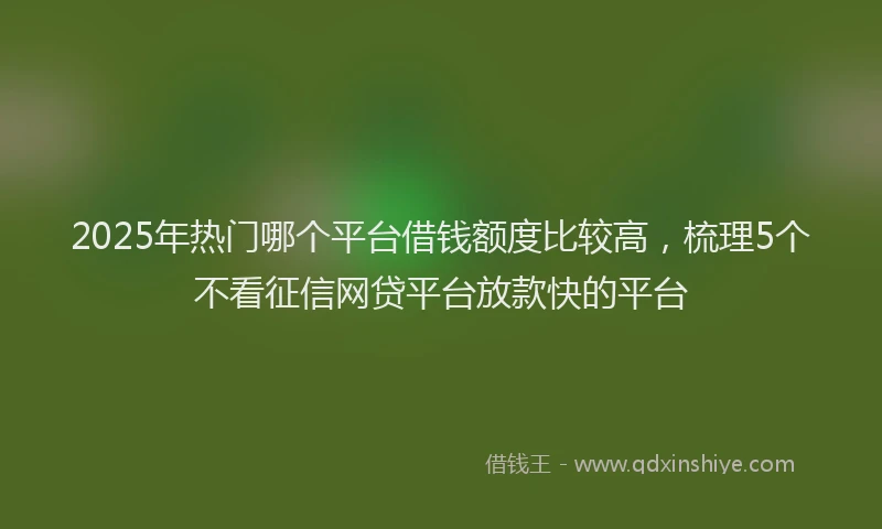 2025年热门哪个平台借钱额度比较高，梳理5个不看征信网贷平台放款快的平台
