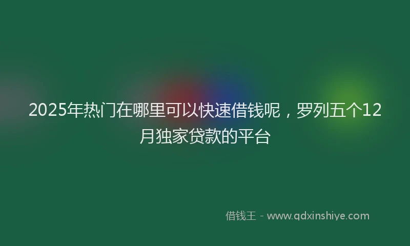 2025年热门在哪里可以快速借钱呢，罗列五个12月独家贷款的平台