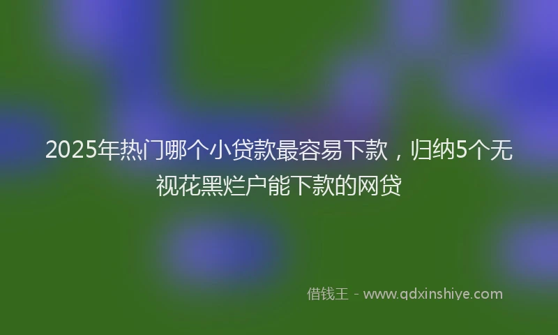2025年热门哪个小贷款最容易下款，归纳5个无视花黑烂户能下款的网贷