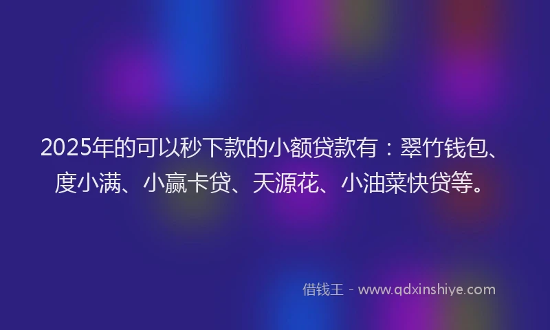 2025年的可以秒下款的小额贷款有：翠竹钱包、度小满、小赢卡贷、天源花、小油菜快贷等。