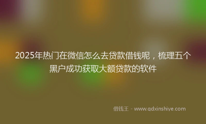 2025年热门在微信怎么去贷款借钱呢，梳理五个黑户成功获取大额贷款的软件