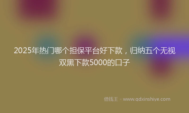 2025年热门哪个担保平台好下款，归纳五个无视双黑下款5000的口子