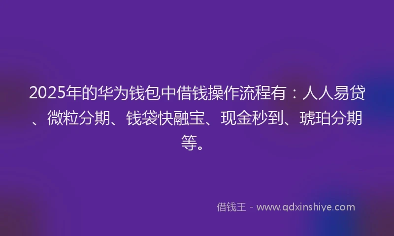 2025年的华为钱包中借钱操作流程有：人人易贷、微粒分期、钱袋快融宝、现金秒到、琥珀分期等。