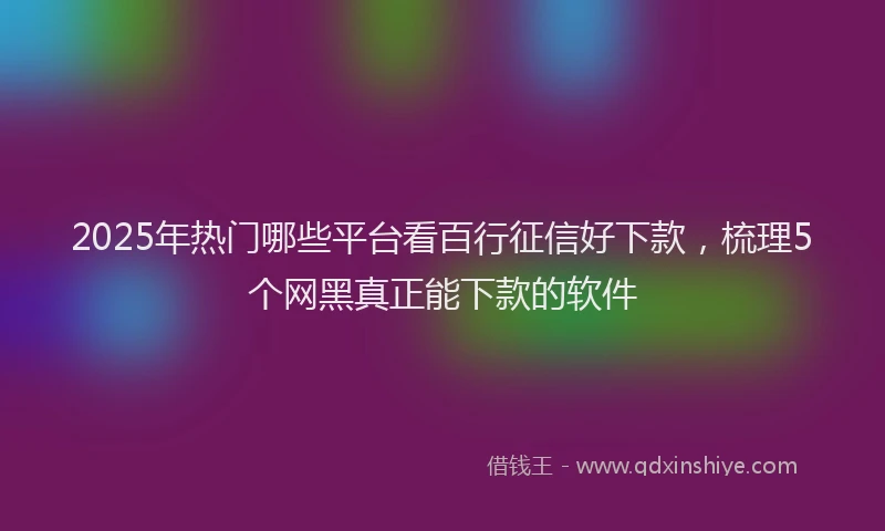 2025年热门哪些平台看百行征信好下款，梳理5个网黑真正能下款的软件