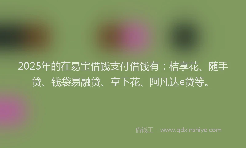 2025年的在易宝借钱支付借钱有：桔享花、随手贷、钱袋易融贷、享下花、阿凡达e贷等。