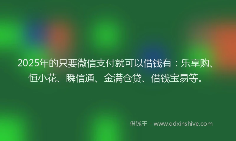 2025年的只要微信支付就可以借钱有：乐享购、恒小花、瞬信通、金满仓贷、借钱宝易等。
