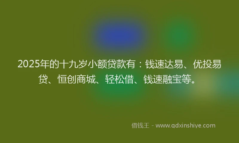 2025年的十九岁小额贷款有：钱速达易、优投易贷、恒创商城、轻松借、钱速融宝等。