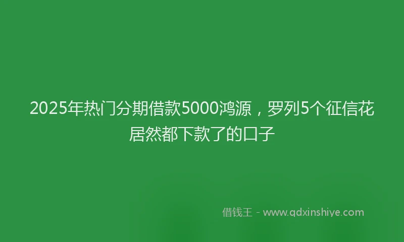 2025年热门分期借款5000鸿源，罗列5个征信花居然都下款了的口子