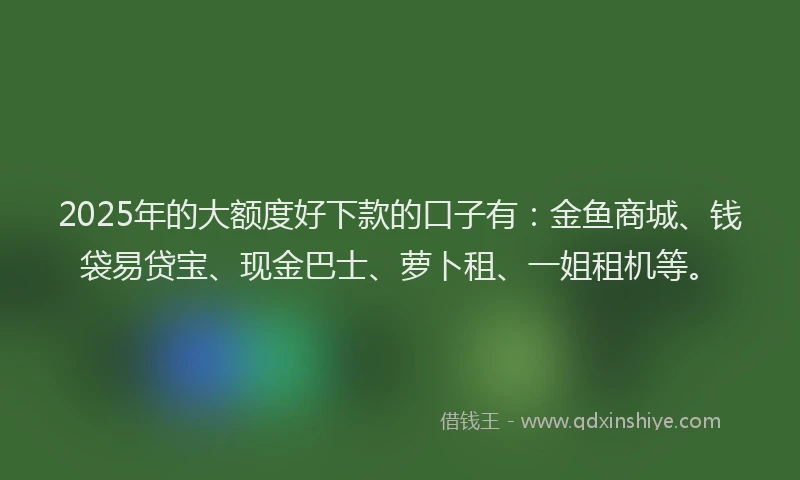 2025年的大额度好下款的口子有：金鱼商城、钱袋易贷宝、现金巴士、萝卜租、一姐租机等。