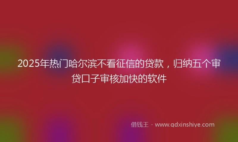 2025年热门哈尔滨不看征信的贷款，归纳五个审贷口子审核加快的软件