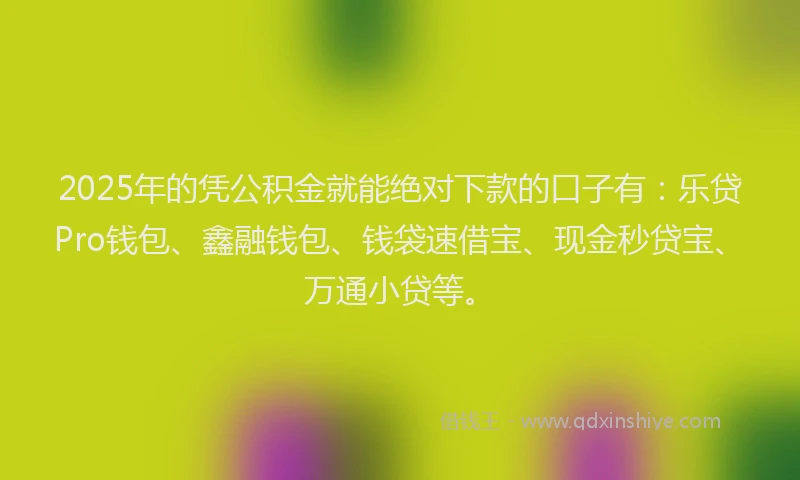 2025年的凭公积金就能绝对下款的口子有：乐贷Pro钱包、鑫融钱包、钱袋速借宝、现金秒贷宝、万通小贷等。