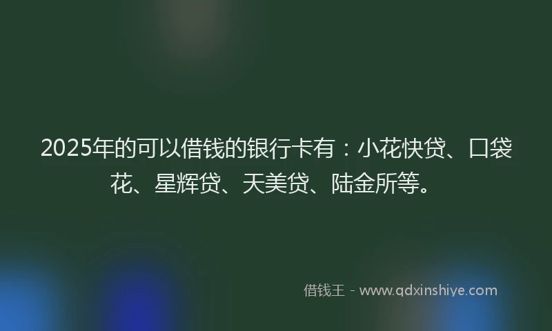 2025年的可以借钱的银行卡有：小花快贷、口袋花、星辉贷、天美贷、陆金所等。