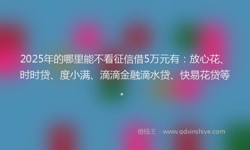 2025年的哪里能不看征信借5万元有：放心花、时时贷、度小满、滴滴金融滴水贷、快易花贷等。