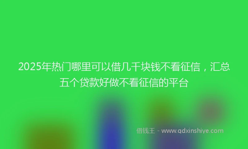 2025年热门哪里可以借几千块钱不看征信，汇总五个贷款好做不看征信的平台
