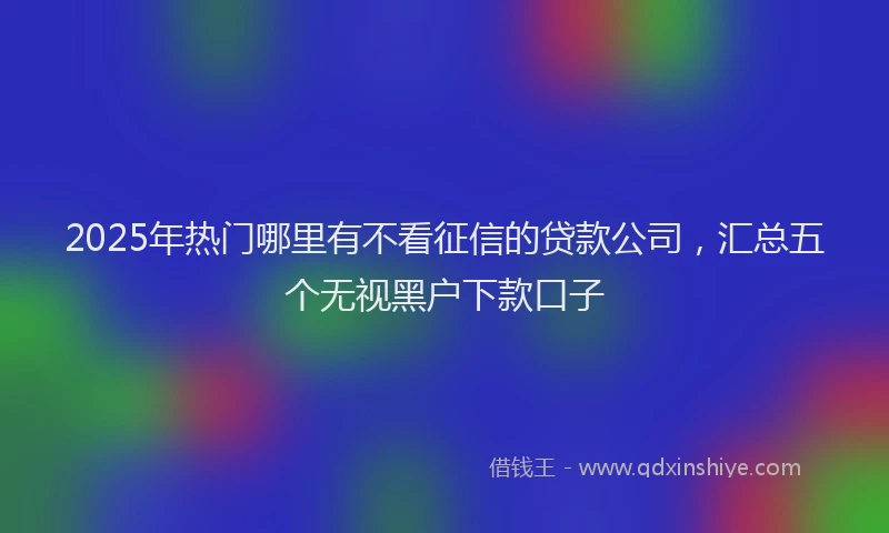 2025年热门哪里有不看征信的贷款公司，汇总五个无视黑户下款口子